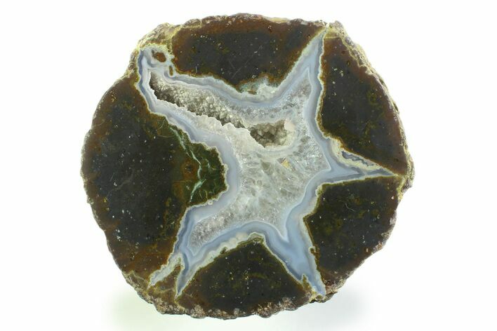 Colorful Polished Thunderegg Half - Nevada #337861